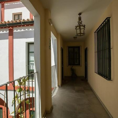 Vidrio Sevilla Deluxe Apartment Exteriör bild